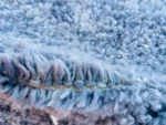 Sky Blue Plush Berber Shag - Image 8