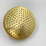 Unlacquered Brass Adjustable ShowerHead