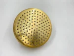 Unlacquered Brass Adjustable ShowerHead 8 Inch