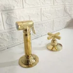 Unlacquered Brass Kitchen Sprayer With Handle
