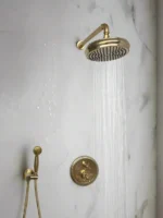 Unlacquered Brass Shower System With Adjustable ShowerHead