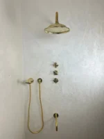 Unlacquered Brass Shower Set