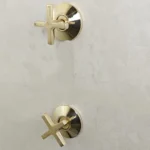 Unlacquered Brass Dome Showerhead Shower System
